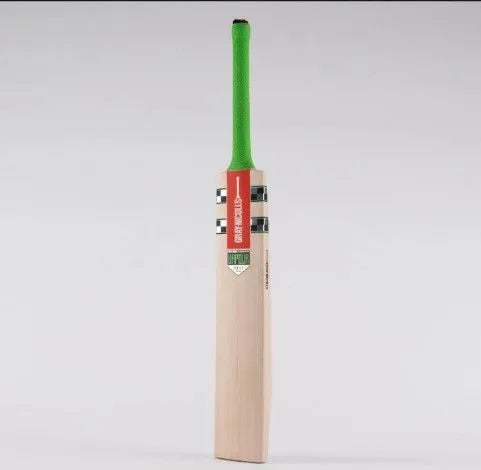 Hard ball cricket bat